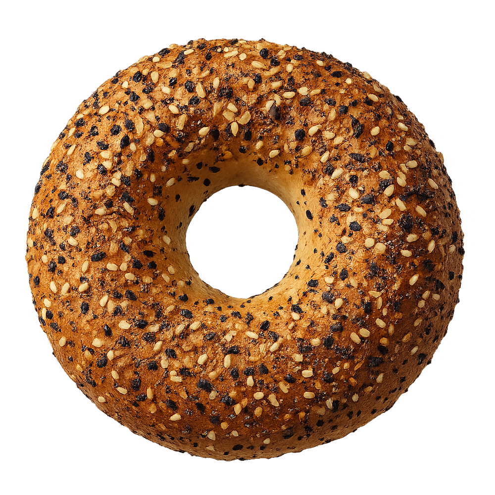 Fresh everything bagel at Bagel or Nothing, Westampton NJ